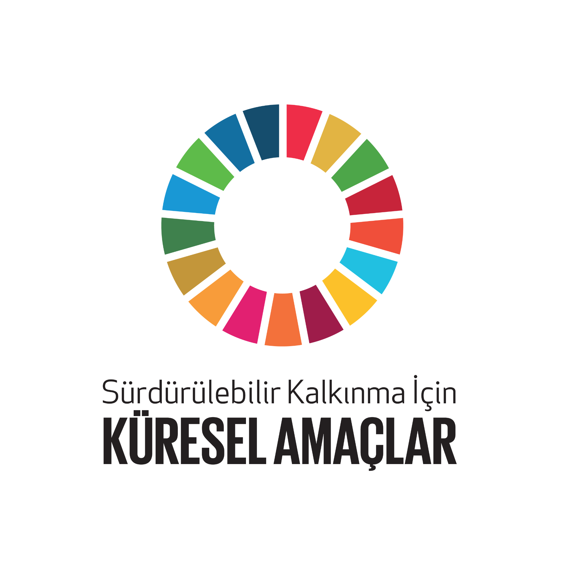 UN Sustainable Development Goals | GCA