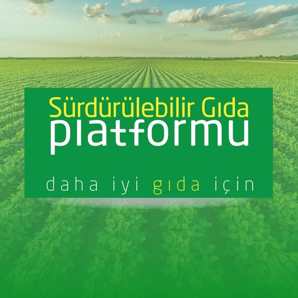 GCA Participated in Member Debriefing Meeting of Sustainable Food Platform
