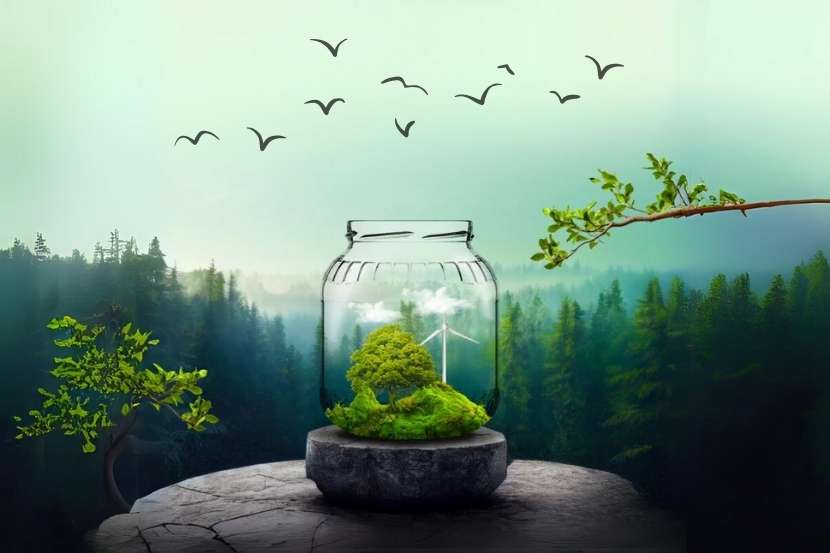 Do Glass Packaging Solutions Contribute to Energy Savings?